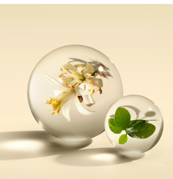 Molton Brown Orange & Bergamot Eau de Parfum 100ml - Note di Arancia, Bergamotto e Neroli, Flacone in Vetro con Tappo in Resina