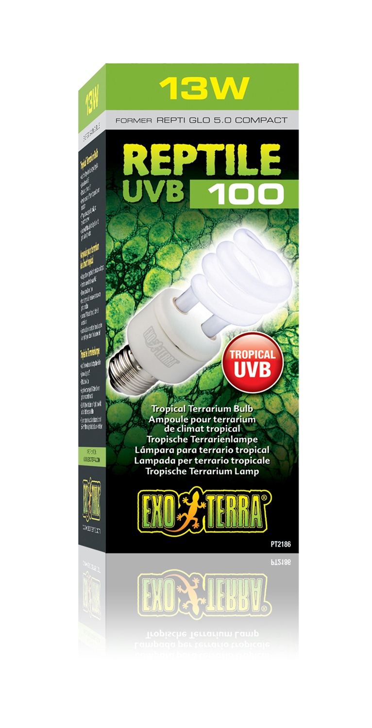 Exoterra Repti Glo 5.0 Compact Lampada Fluorescente per Terrari Tropicali 13 W
