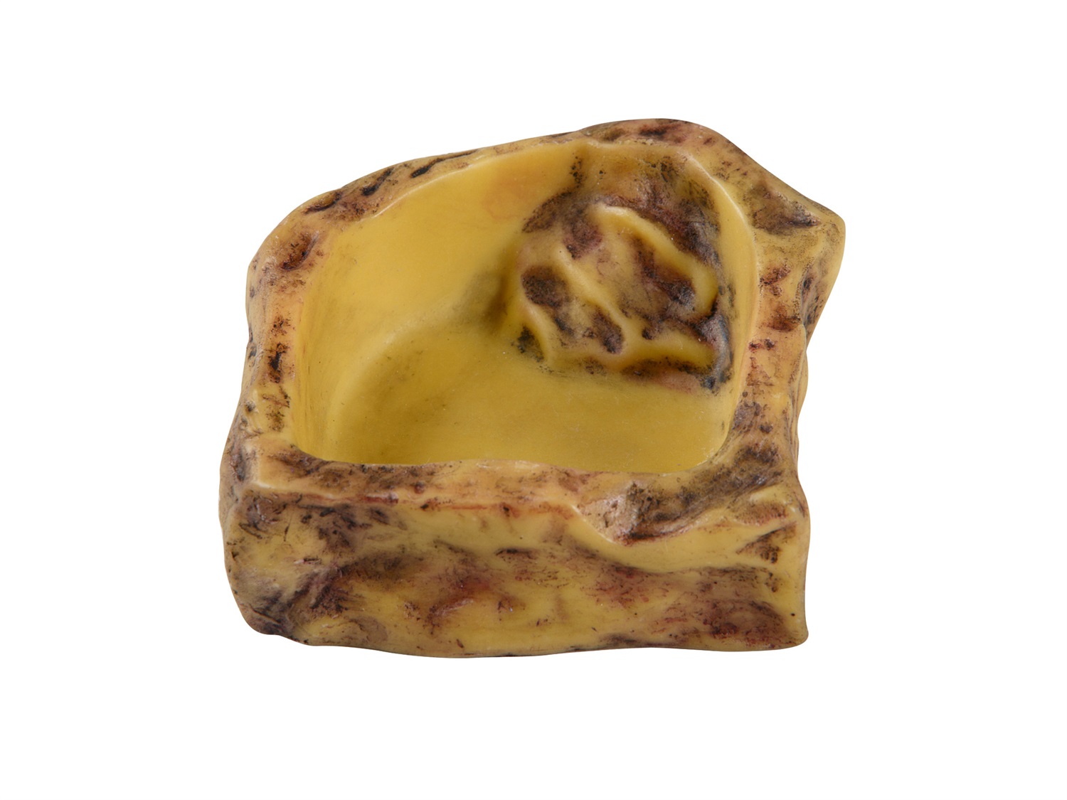 Exo Terra Piatto d'Acqua Small - Finitura in Pietra Naturale, Superficie Liscia e Facile da Pulire