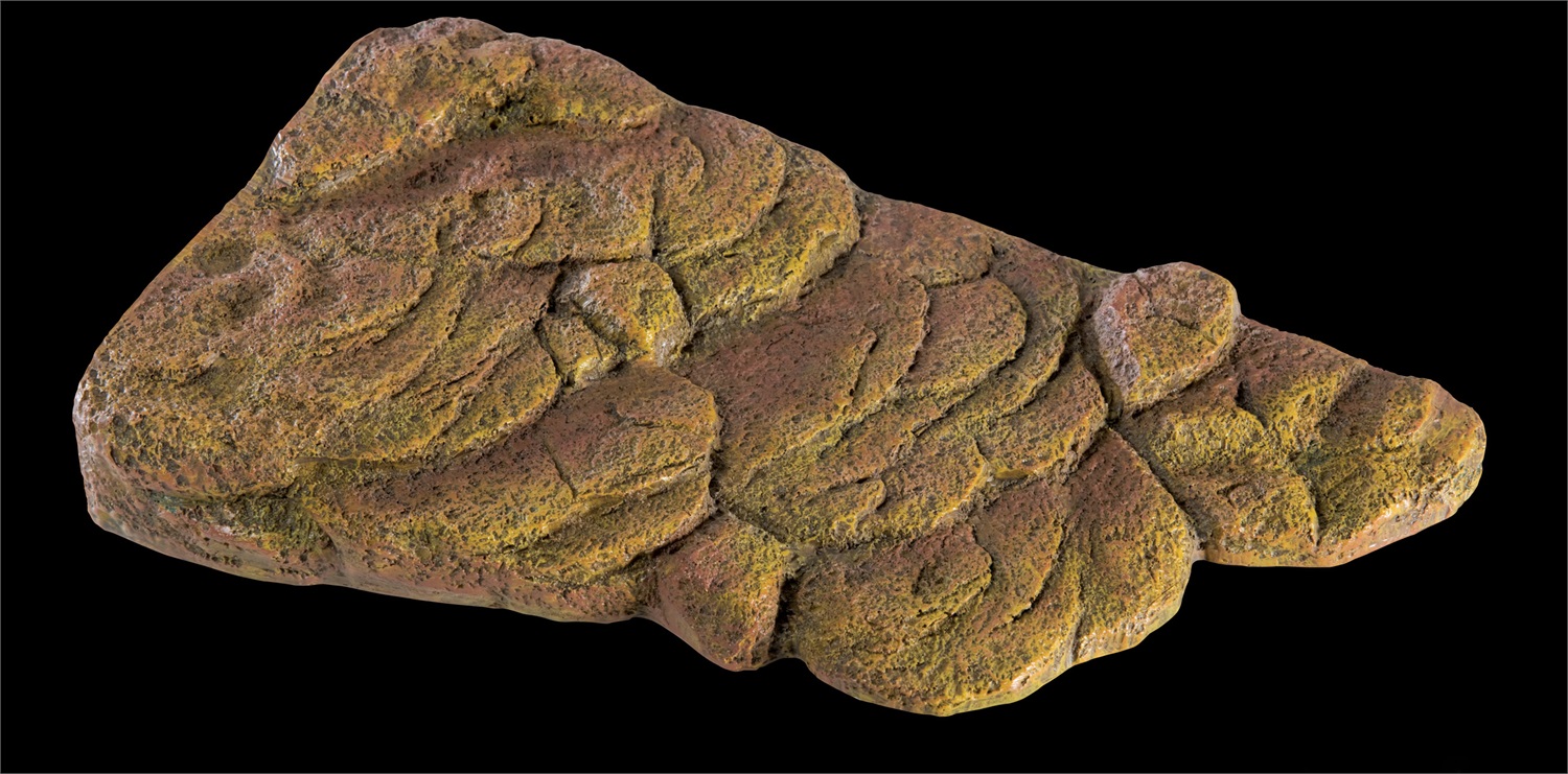 Exo Terra Turtle Bank - Isola Galleggiante Magnetica Media per Tartarughe - 29.8 x 17.8 x 5.4 cm