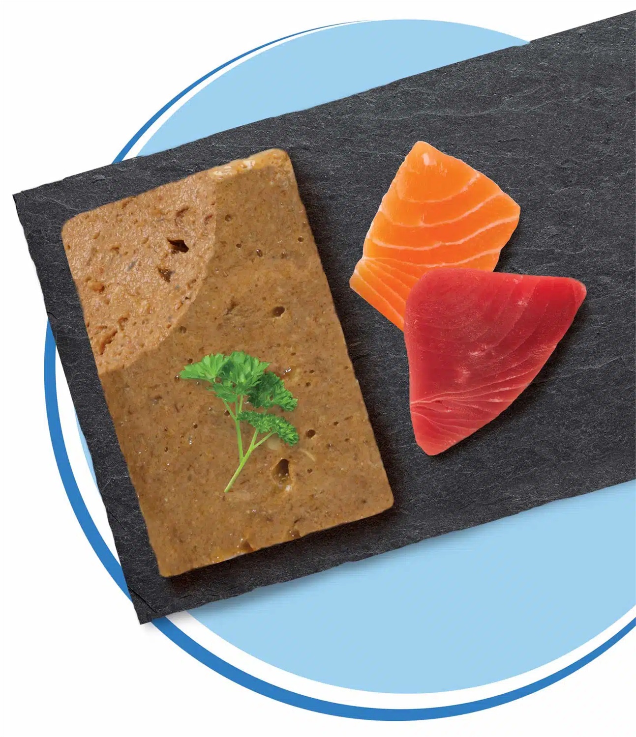 Catit Cuisine Mousse per gatti - Pesce di mare e Tonno con Salmone, 90 g