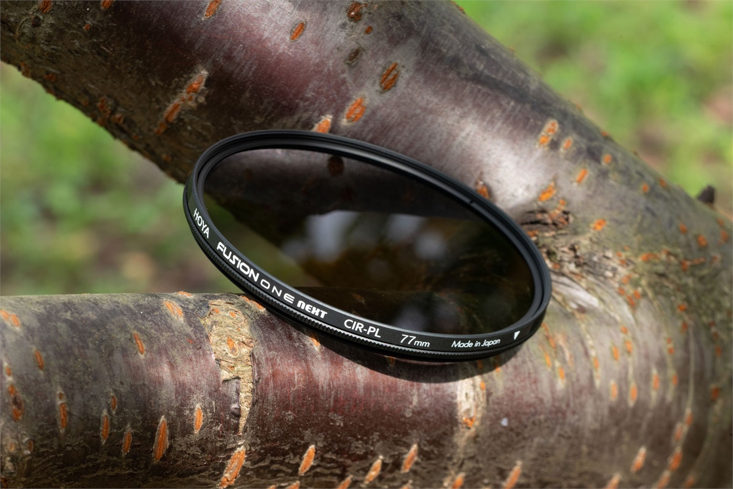 Hoya Filtro Polarizzatore Circolare Fusion ONE Next 62mm - Vetro Ottico, Rivestimento Antimacchia e Idrorepellente, Alta Trasmissione della Luce