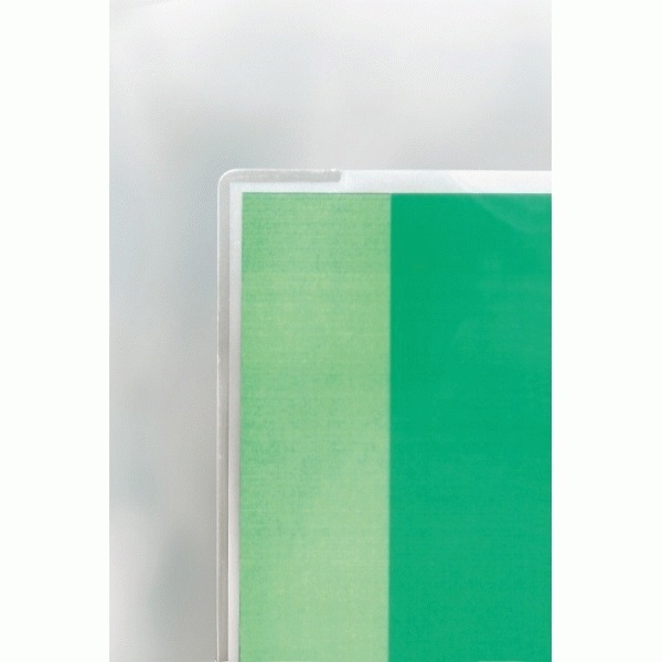 GBC Pouches per Plastificazione A3 2x125 µm Finitura Lucida - Conf. 100 Pezzi