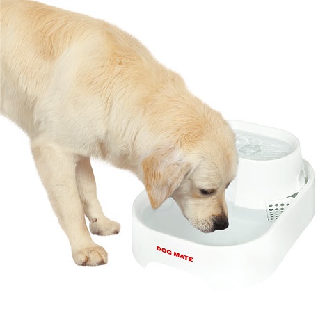 Dog Mate Pet Mate Fontanella 6 Litri per Cani e Gatti - Distributore Automatico con Ciotole Lavabili, Rampa Antispruzzo e Sistema di Filtrazione