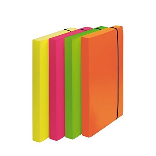 Fellowes 1028101 Cartella Progetto Shocking File - Confezione da 4 Pezzi - Colori Fluorescenti Assortiti - Materiale PPL 0,6 mm - Dorso 3 cm
