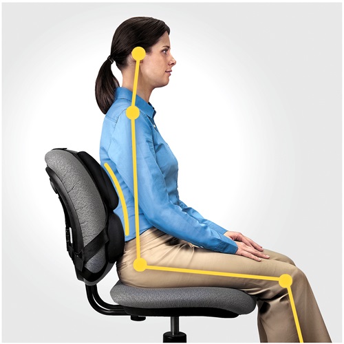 Fellowes Professional Series Supporto Lombare Ergonomico Nero - 36,5 x 37,5 x 5,5 cm, Cuscini in Schiuma, Adattabile a Tutte le Sedie