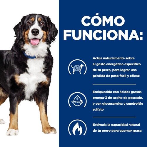 Hill's Prescription Diet Canine Metabolic Mobility Cibo Secco per Cani Adulti 4 kg - Aiuta a Ridurre il Sovrappeso e Migliora la Mobilità