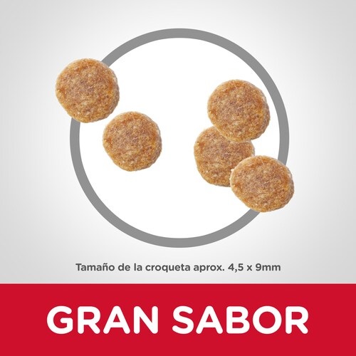 Hill's Science Plan Feline Adult Cibo Secco per Gatti al Tonno 300 g - Proteine di Alta Qualità, Omega-3 e 6, Vitamina E