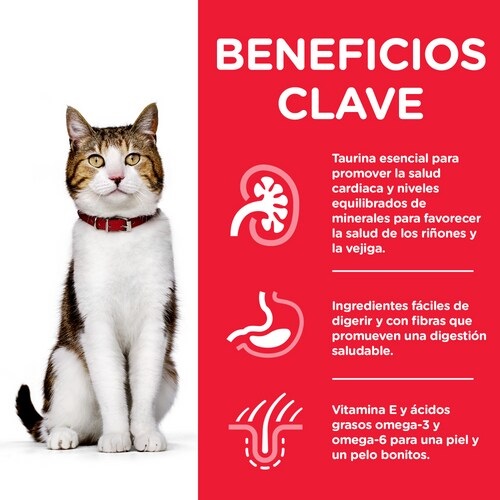 Hill's Science Plan Mature Adult 7 Cibo Secco per Gatti con Pollo - 10 kg