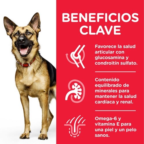 Hill's Science Plan Mature Adult 6 Large Cibo Secco per Cani con Pollo - 14 kg