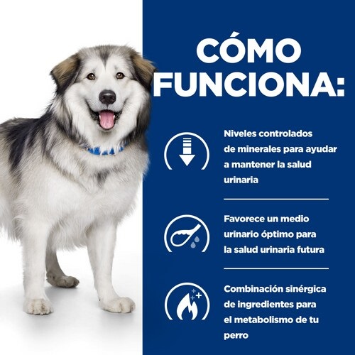 Hill's Prescription Diet c/d Multicare Metabolic Alimento Secco per Cani 12 kg - Supporta Salute Urinaria e Gestione del Peso