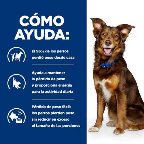 Hills 606148 cibo umido per cani Manzo Universale 12 kg