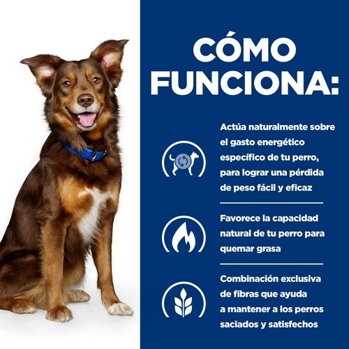 Hills 606148 cibo umido per cani Manzo Universale 12 kg