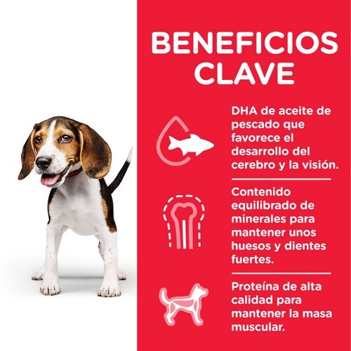 Hill's Science Plan Puppy Cibo Secco per Cani con Pollo - 370 g, Sviluppo Sano per Cuccioli di Taglia Piccola e Media