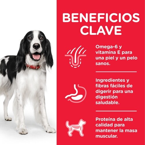 HILL'S PET NUTRITION Srl Cibo per Cani Adulto al Pollo 370g