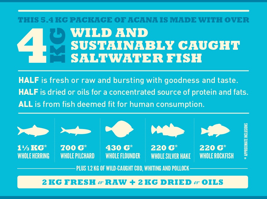 Acana Cat Pacifica Cibo Secco per Gatti 4,5 kg - Grain Free, Ricco di Pesce Fresco, Monoproteico