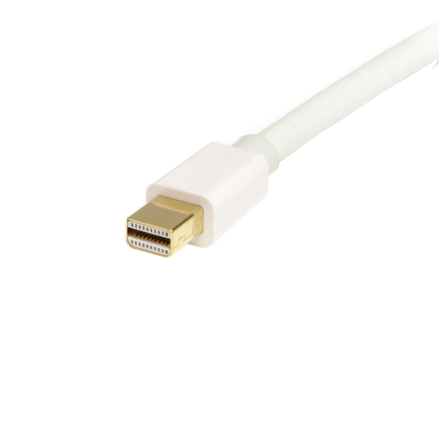 StarTech.com Cavo Mini DisplayPort a DisplayPort 1.2 da 1m - Cavo Adattatore 4K x 2K UHD - Maschio a Maschio - Bianco