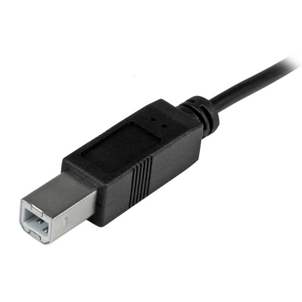 StarTech.com Cavo USB-C a USB-B da 2 m - Maschio/Maschio - Cavo Stampante USB 2.0 - Velocità 480 Mbit/s