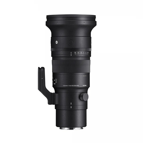 Sigma 500mm F5.6 DG DN OS | Ultrateleobiettivo Sportivo L-Mount, Compatto e Leggero con Stabilizzazione Ottica