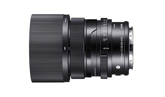 Sigma 65mm F2 DG DN Obiettivo L-Mount - Autofocus, 12 elementi, a prova di polvere e spruzzi