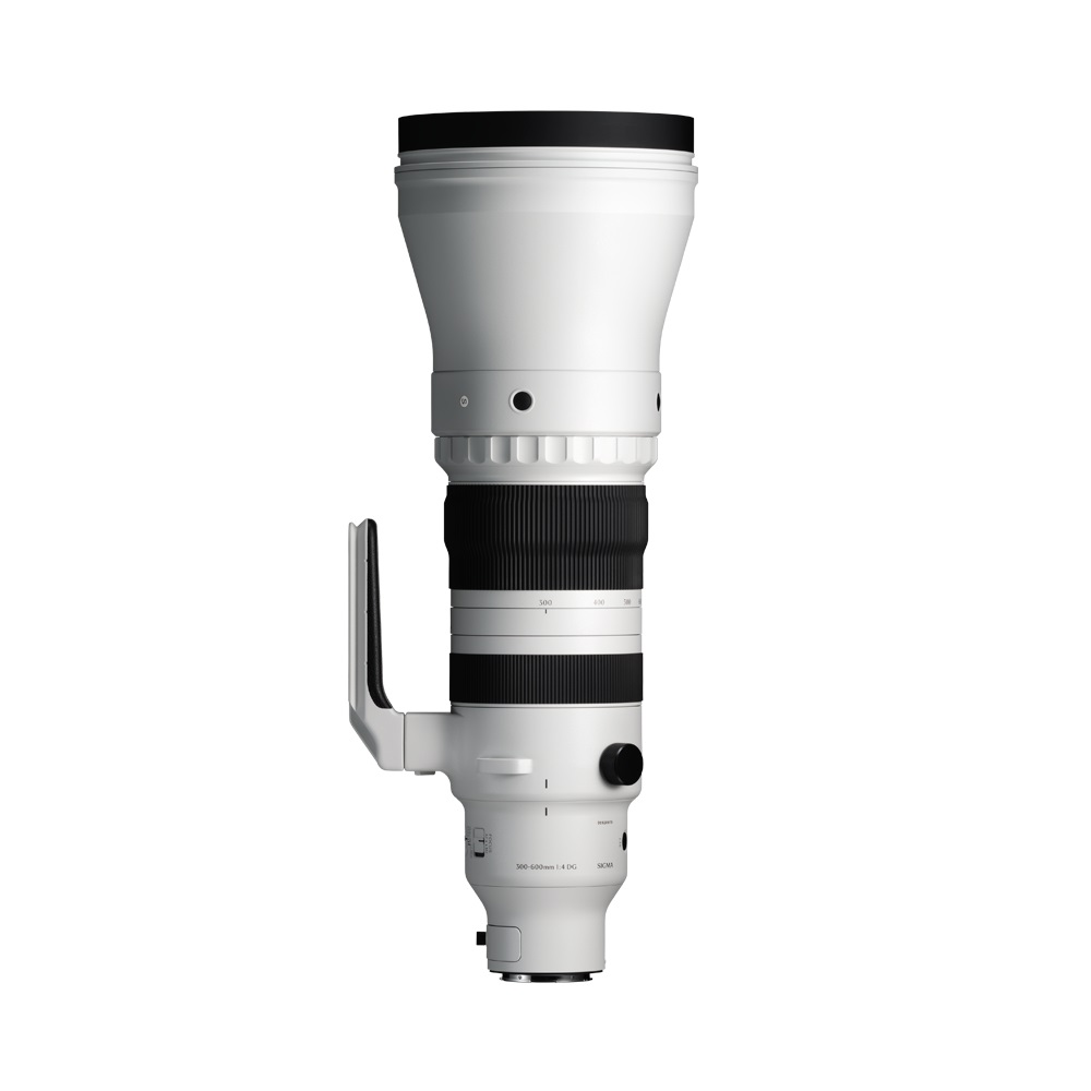 Sigma Obiettivo Teleobiettivo 300-600mm f/4 DG OS Sports per Sony E-Mount con Accessori Inclusi