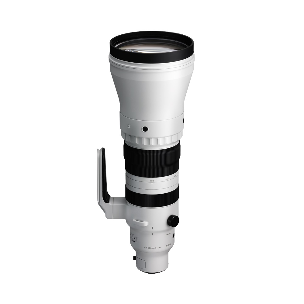 Sigma Obiettivo Teleobiettivo 300-600mm f/4 DG OS Sports per Sony E-Mount con Accessori Inclusi