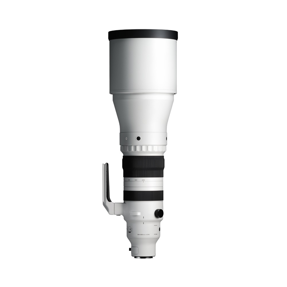 Sigma Obiettivo Teleobiettivo 300-600mm f/4 DG OS Sports per Sony E-Mount con Accessori Inclusi