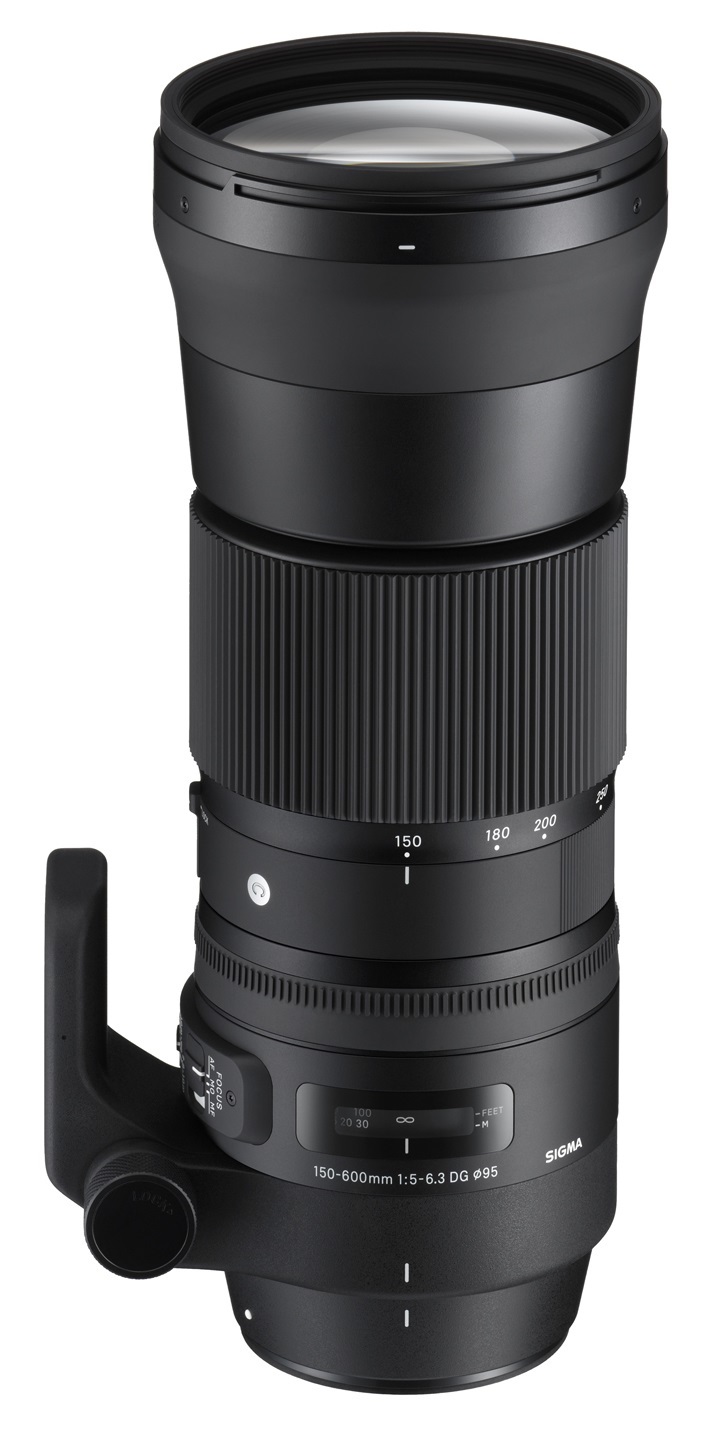 Sigma 150-600mm F5-6.3 DG OS HSM Contemporary - Obiettivo super-teleobiettivo per Canon EF con Stabilizzatore Immagine e Messa a Fuoco Automatica