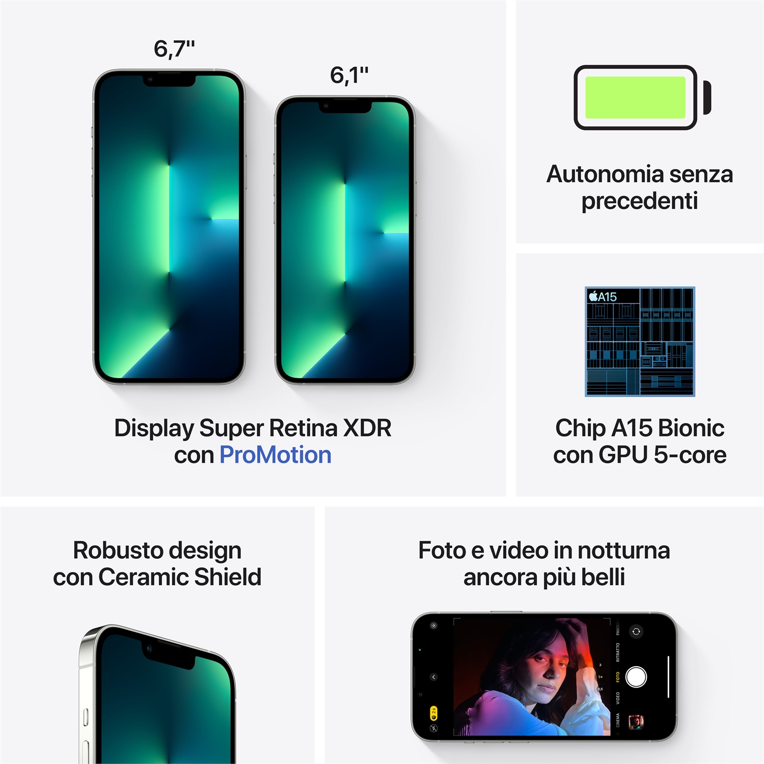 Apple iPhone 13 Pro Max 17 cm (6.7