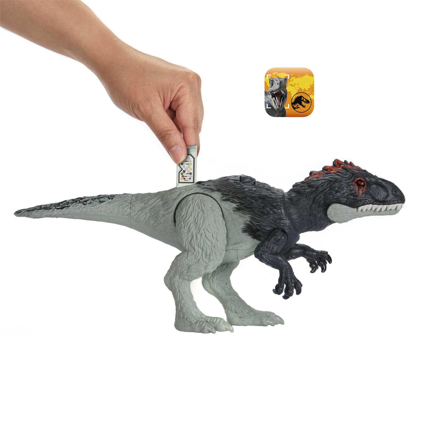 Mattel Jurassic World Eocarcharia - Action Figure Giocattolo Snodato con Suoni e Mossa d'Attacco, Dimensioni Medie, Gioco Digitale, per Bambini 4 Anni