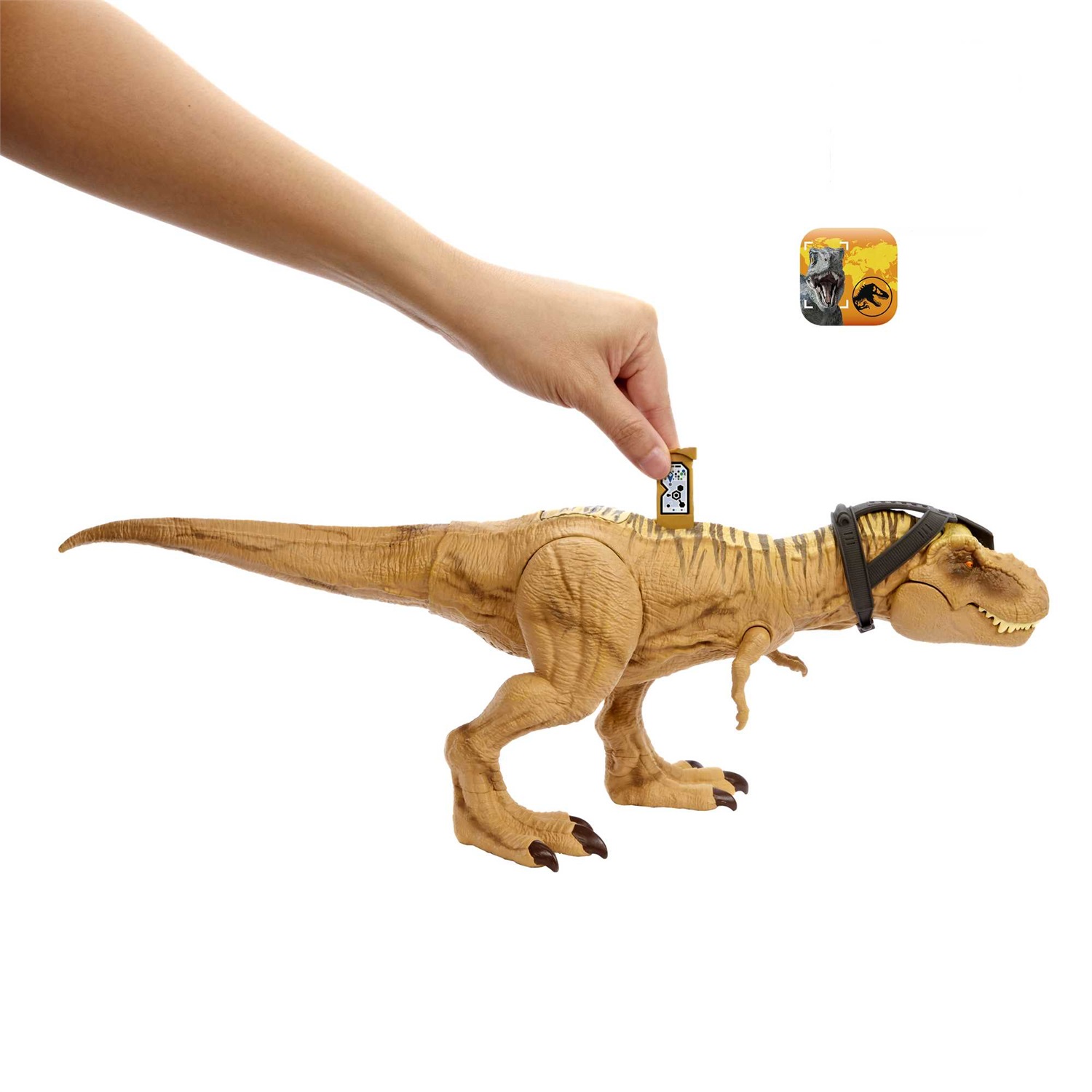 Mattel Jurassic World HNT62 T-Rex Caccia e Divora - Action Figure con Doppio Morso, Suoni e Attrezzatura di Tracciamento per Bambini 4
