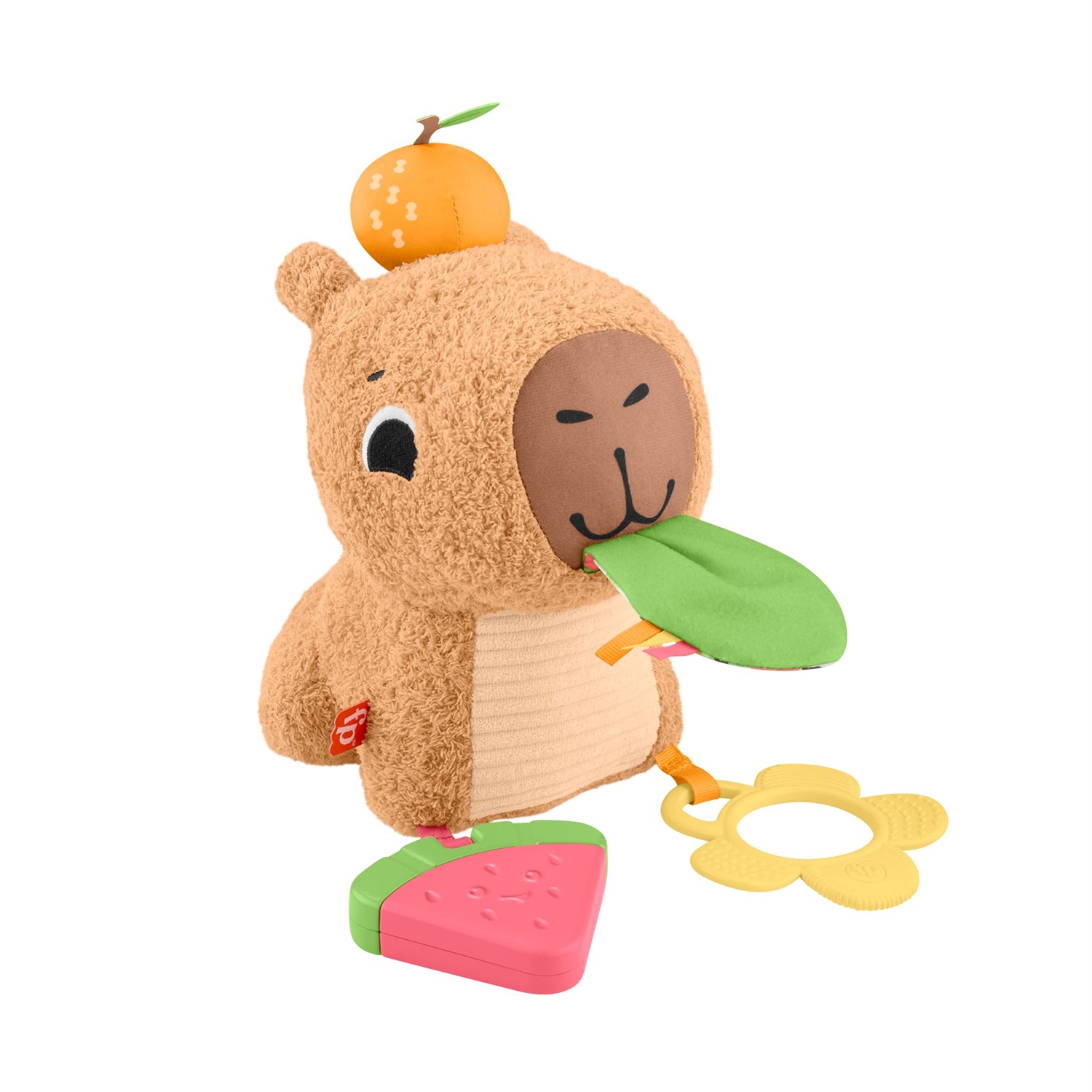 Fisher-Price Marmotta Coccole e Merenda HYR54 - Peluche Sensoriale con Massaggiagengive e Sonaglino per Neonati, 3 mesi