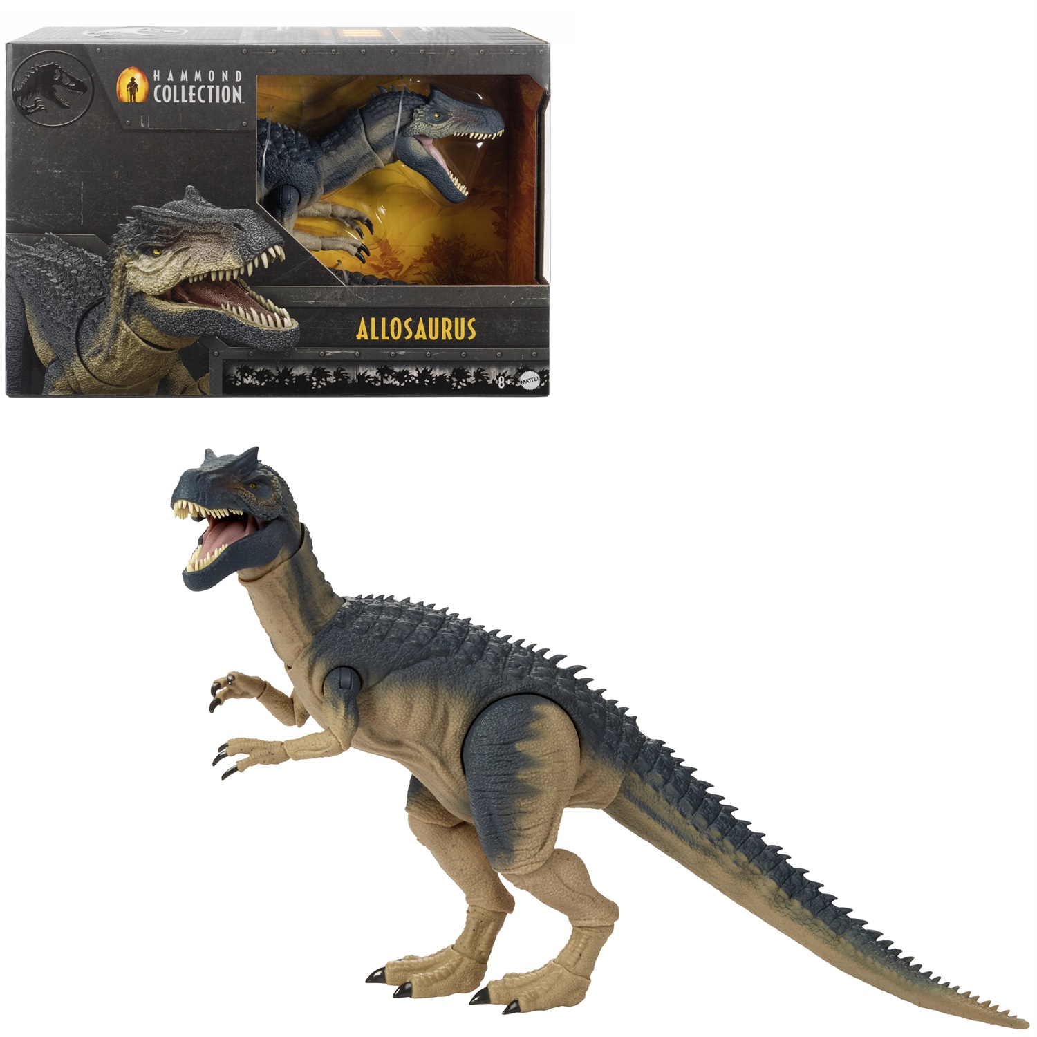 Mattel Jurassic World Hammond Collection - Action Figure Allosauro Articolato con Design Premium e Occhi di Vetro, 54 cm, Giocattolo per Bambini 8 anni, JCG13