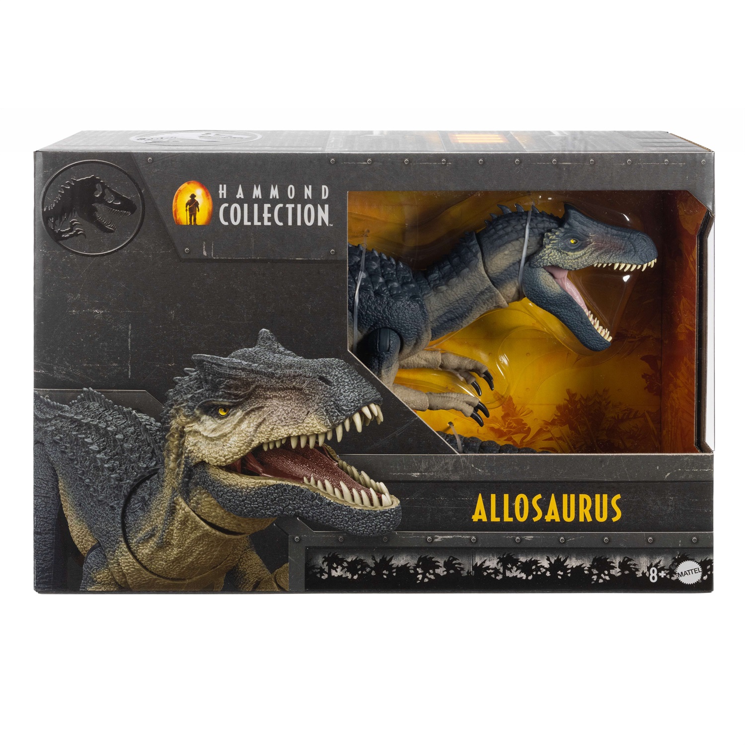 Mattel Jurassic World Hammond Collection - Action Figure Allosauro Articolato con Design Premium e Occhi di Vetro, 54 cm, Giocattolo per Bambini 8 anni, JCG13