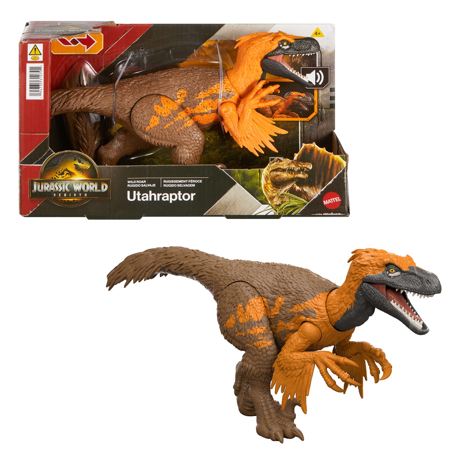 Mattel Jurassic World Utahraptor Ruggito Selvaggio 30 cm - Action Figure Snodata con Attacco Multidirezionale e Suoni Realistici, Modello JGC80