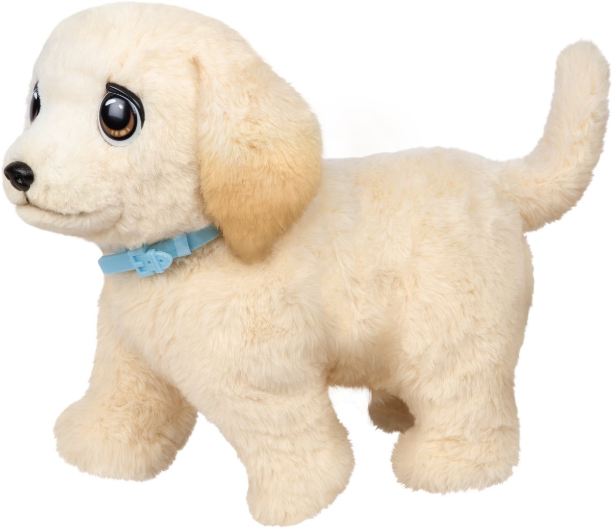 Little Live Pets Ouchies - Cooper The Retriever Cucciolo Interattivo che Cammina e Guarisce con Trasportino