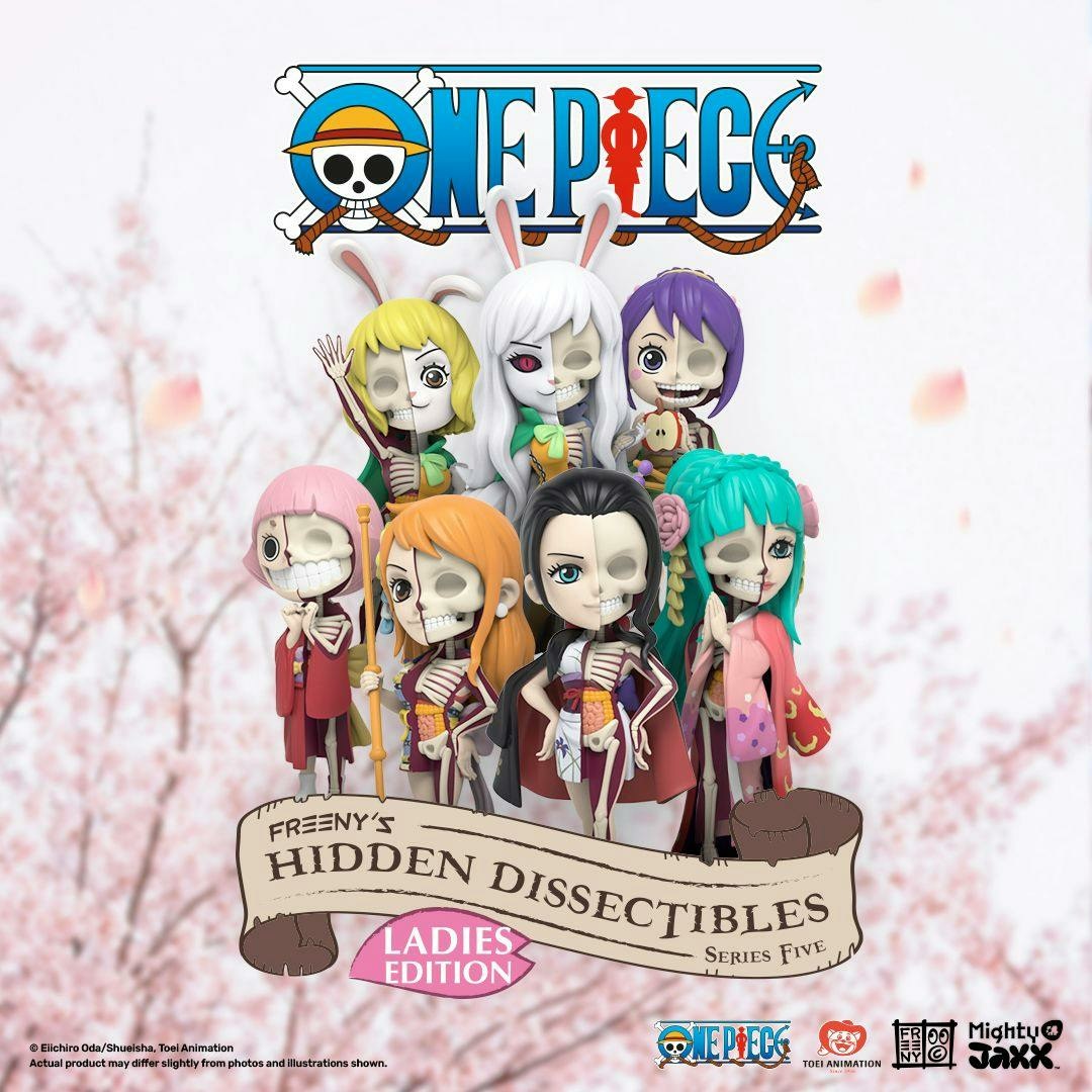 Mighty Jaxx Freeny's Hidden Dissectibles One Piece Series 5 (Ladies) - Figura da collezione con scatola a sorpresa