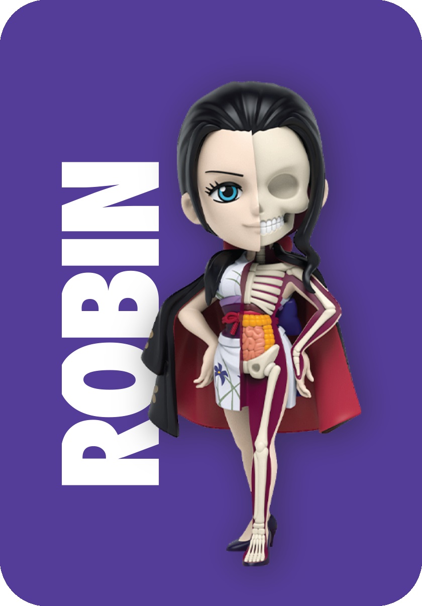 Mighty Jaxx Freeny's Hidden Dissectibles One Piece Series 5 (Ladies) - Figura da collezione con scatola a sorpresa