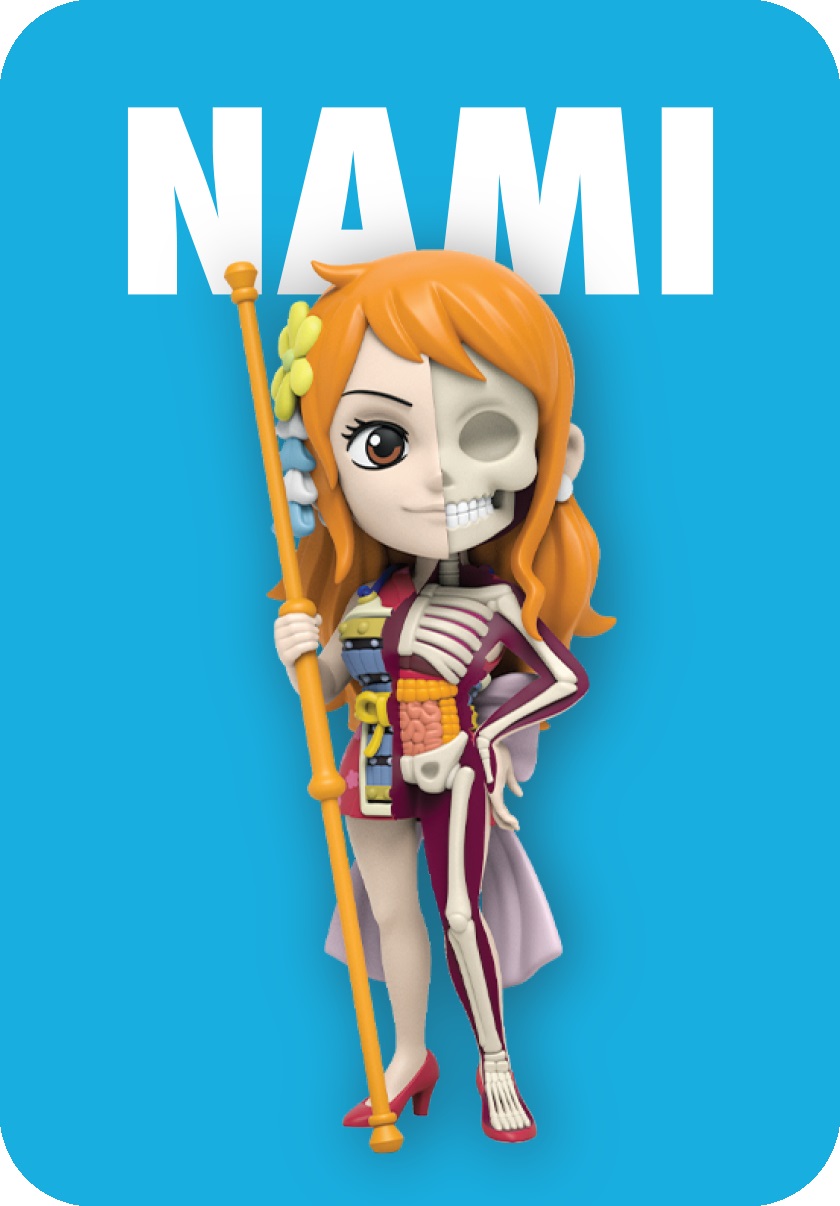 Mighty Jaxx Freeny's Hidden Dissectibles One Piece Series 5 (Ladies) - Figura da collezione con scatola a sorpresa