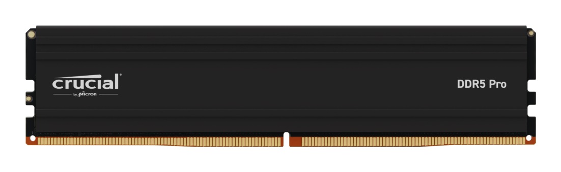 Crucial Pro Memoria RAM 48 GB 1 x 48 GB DDR5 5600 MHz CL46