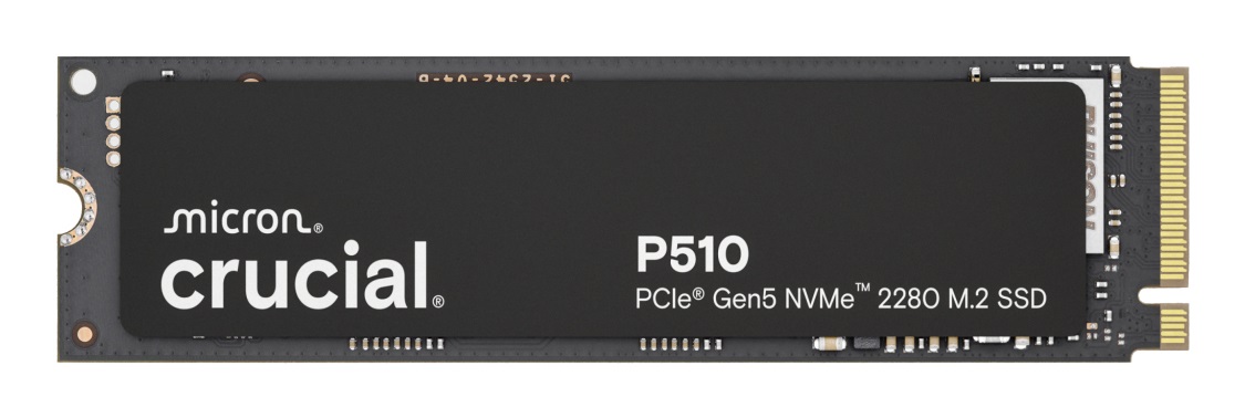 Crucial P510 1 TB M.2 PCI Express 5.0 NVMe - Velocità di Lettura 11000 MB/s, Scrittura 9500 MB/s