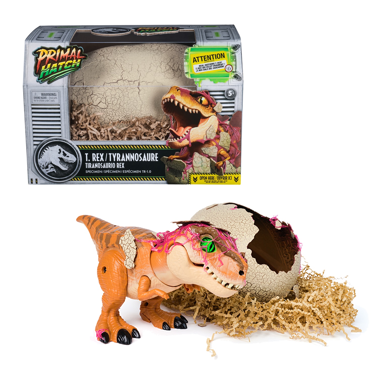 Spin Master Jurassic World Primal Hatch – Dinosauro Interattivo T-Rex con Uovo, Fai Schiudere e Addestra il Tuo Cucciolo con Oltre 100 Suoni e Reazioni, Giocattolo per Bambini e Bambine dai 5 Anni in Su