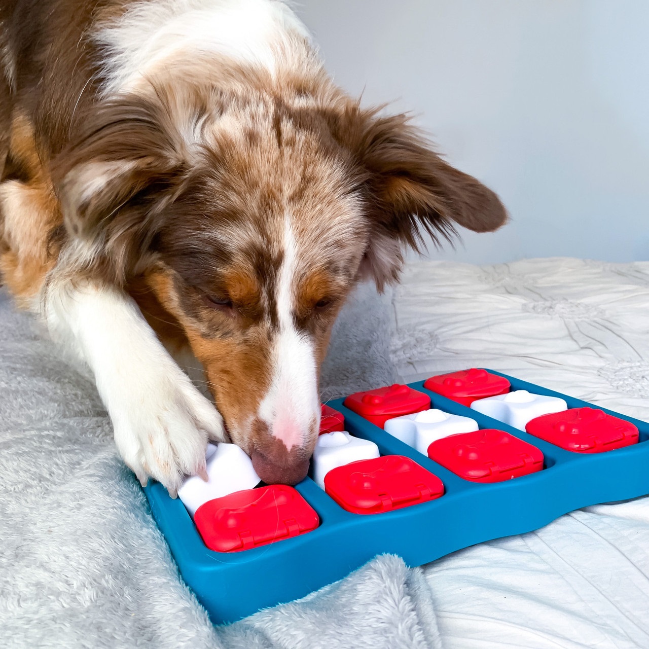Outward Hound Nina Ottosson Dog Brick - Gioco rompicapo interattivo per cani - Erogatore di ricompense - Livello intermedio