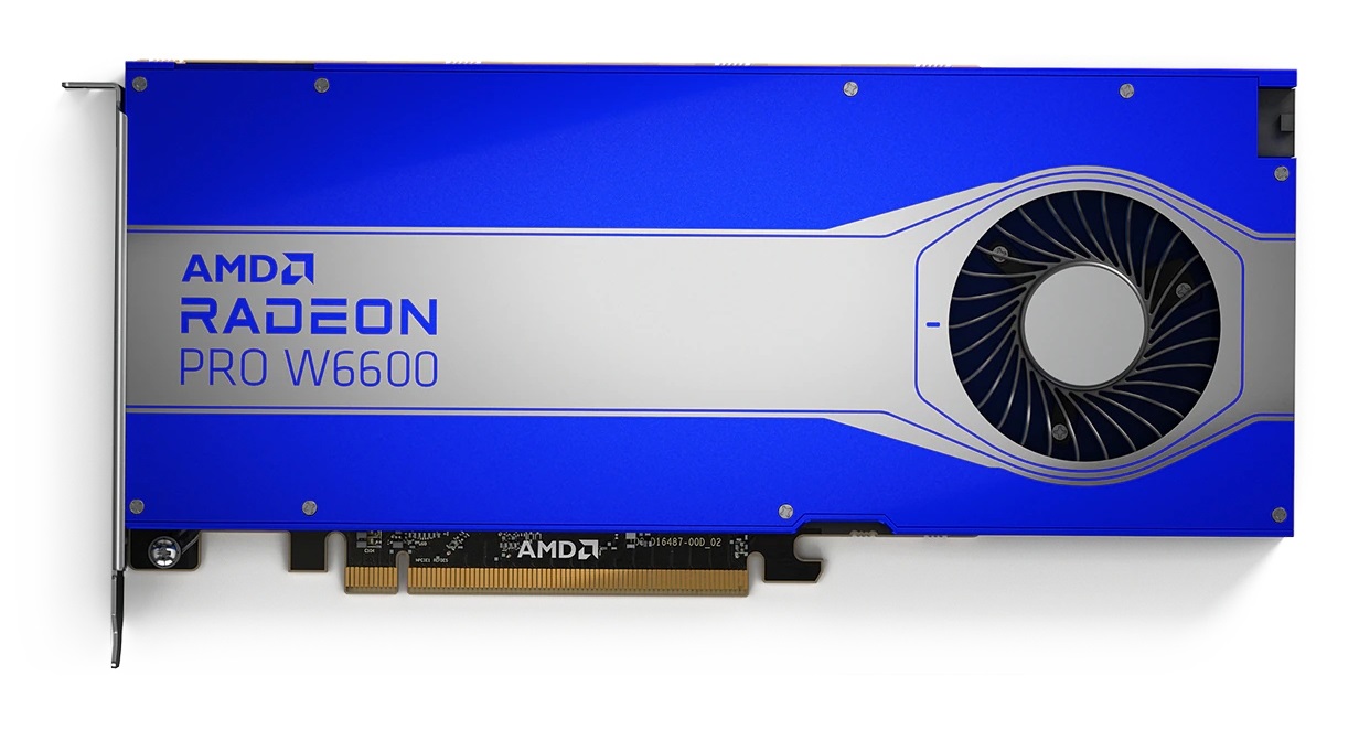 AMD Radeon Pro W6600 - 8 GB GDDR6 - Professional Workstation GPU - PCI Express 4.0 - HDMI 2.0
