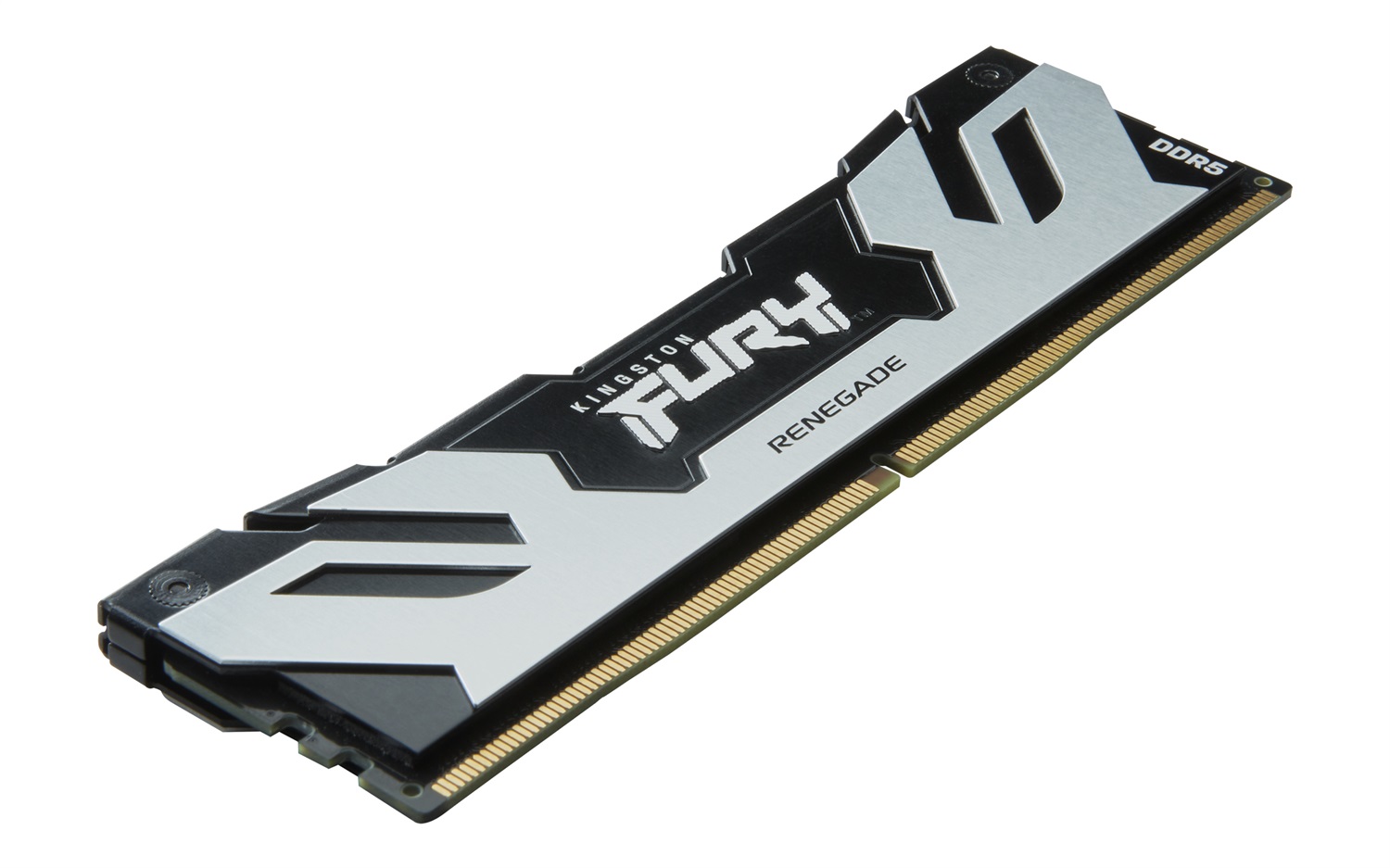Kingston Fury Renegade 16GB DDR5 6400MT/s CL32 DIMM Memoria Gaming Argento/Nero con Supporto Intel XMP 3.0