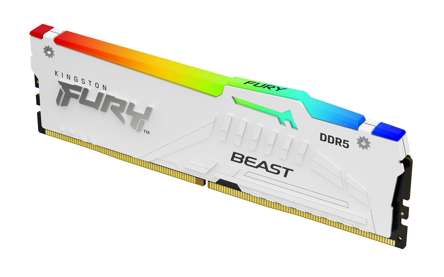 Kingston FURY Beast 64 GB (2 x 32 GB) DDR5 5600 MT/s CL40 DIMM Memoria Gaming Bianco RGB con Intel XMP
