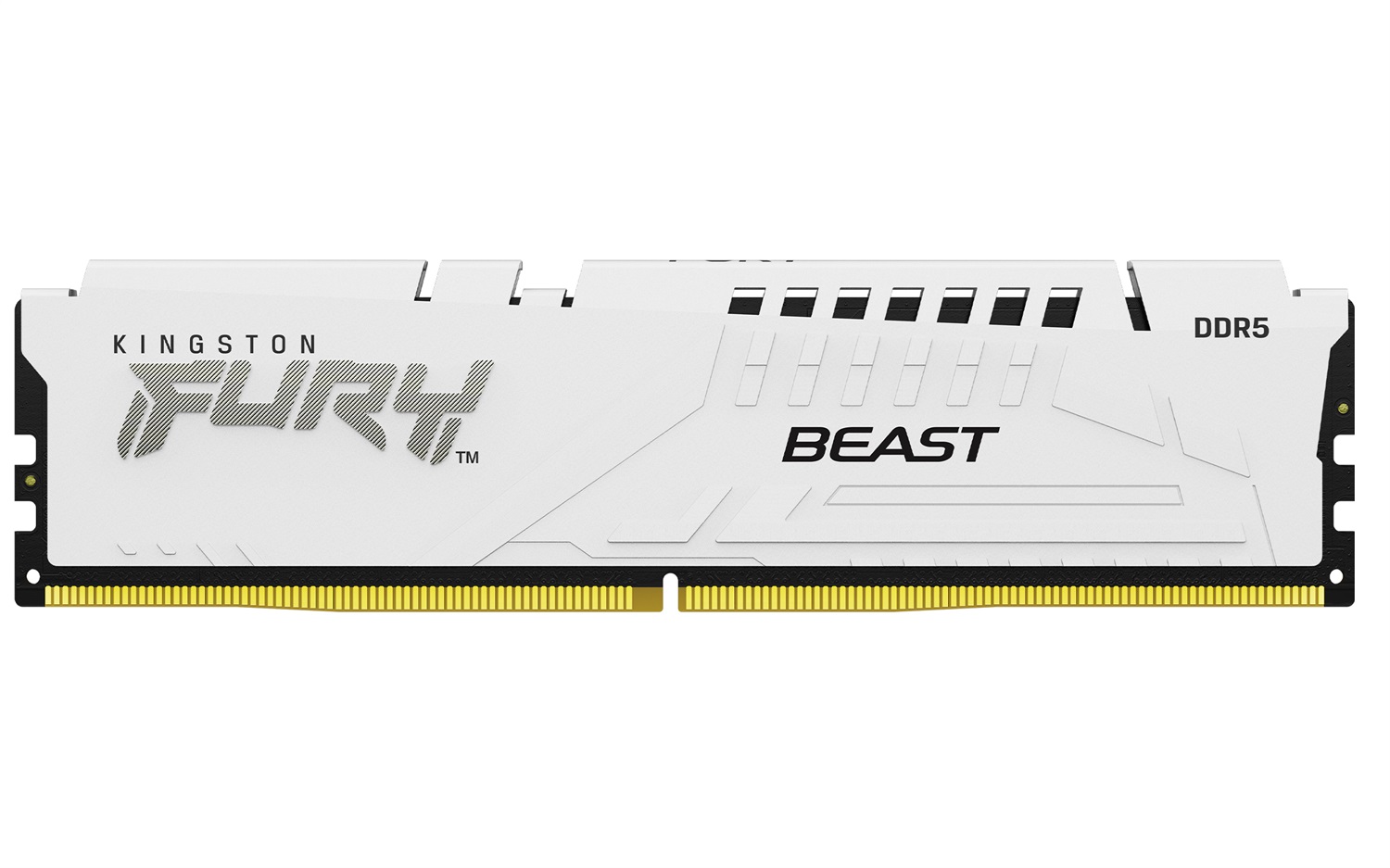 Kingston FURY Beast 16GB 6400MT/s DDR5 CL32 DIMM Bianco - Memoria Gaming per Computer Fissi, Modulo Singolo con Supporto AMD EXPO e Intel XMP