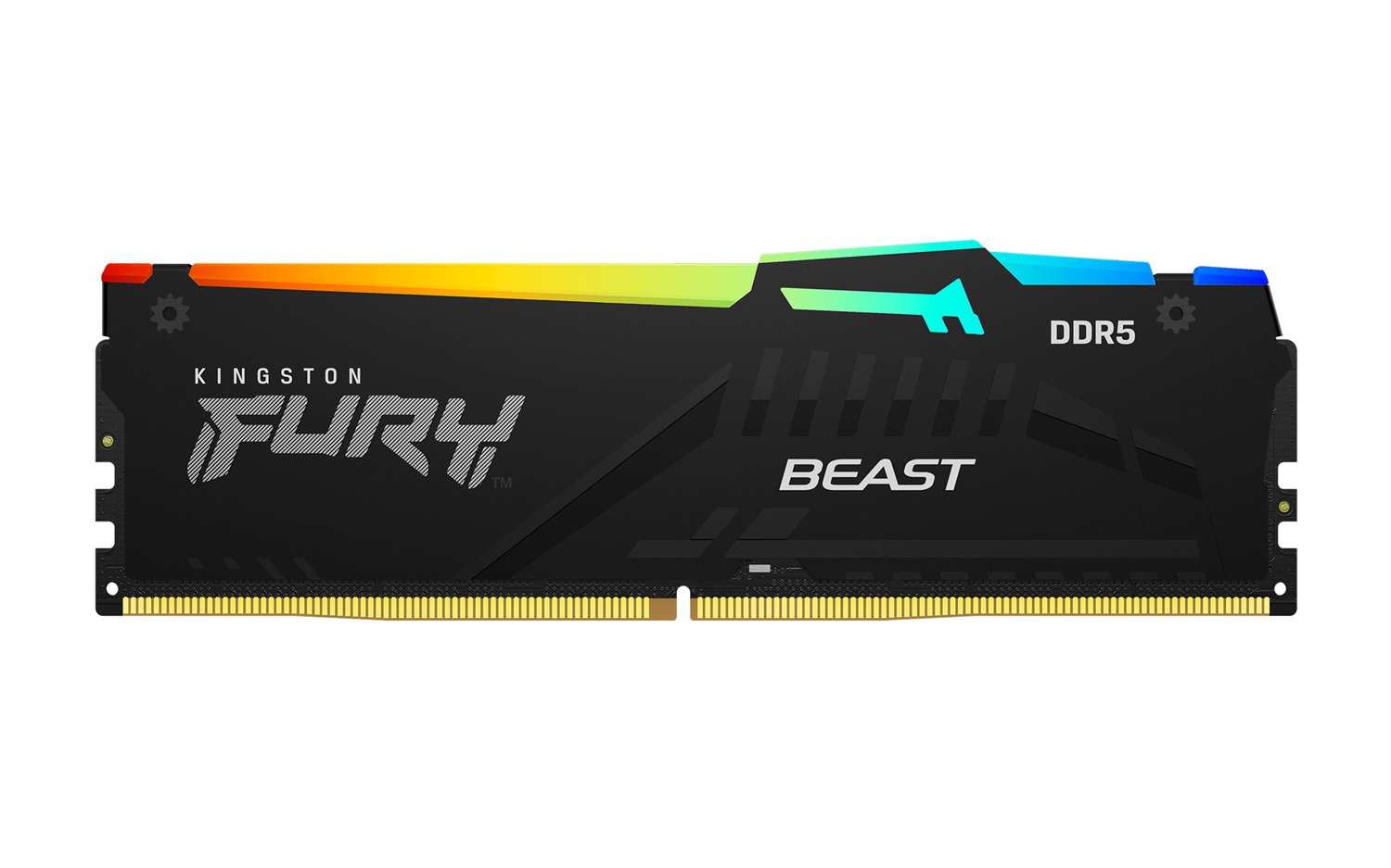 Kingston Technology FURY Beast 16GB DDR5 6000MT/s CL30 DIMM RGB - Memoria Gaming per PC