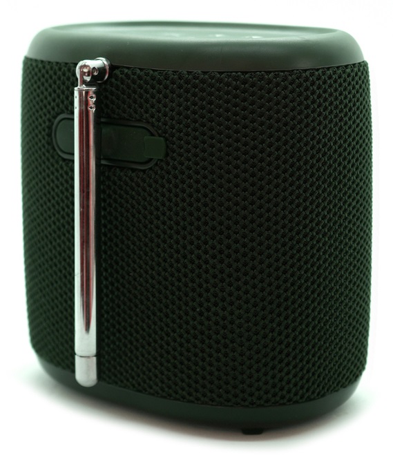 Pure Woodland Mini Altoparlante Portatile da Esterno con Bluetooth e Radio DAB /FM - Impermeabile IP67, Batteria da 17h, Perfetto per Giardino e Campeggio