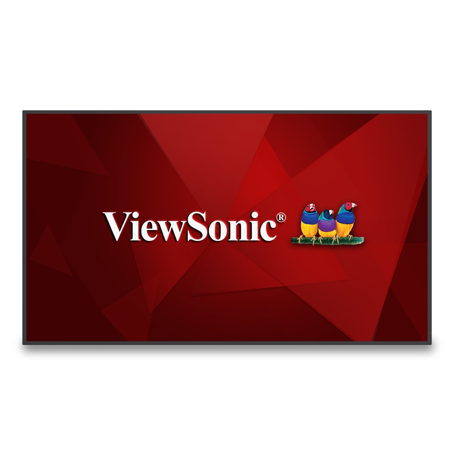 Viewsonic CDE6530 Pannello Piatto per Segnaletica Digitale 65